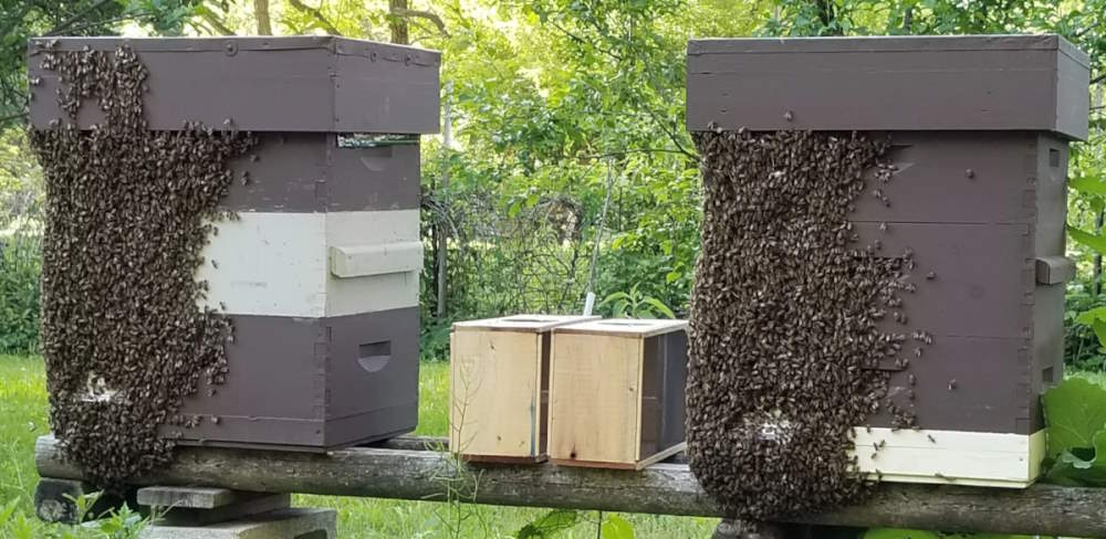 Beehives