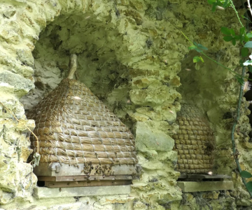 Straw Skep for keeping bees in