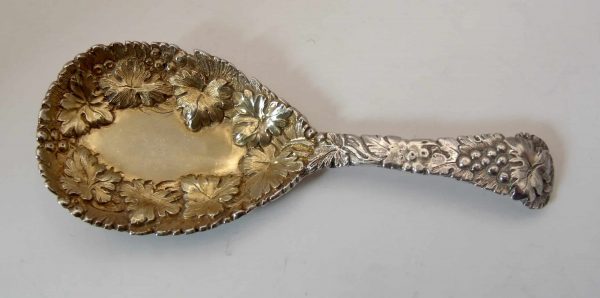 Silver Caddy Spoon