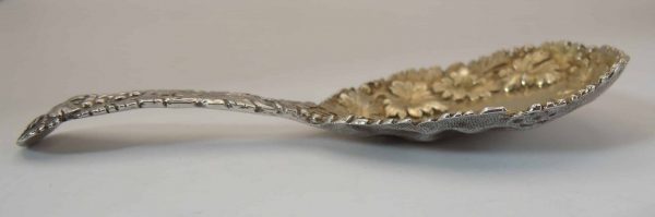 Silver Caddy Spoon