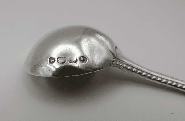 Hallmarks on Silver Mustard Spoon by Chalres Boynton