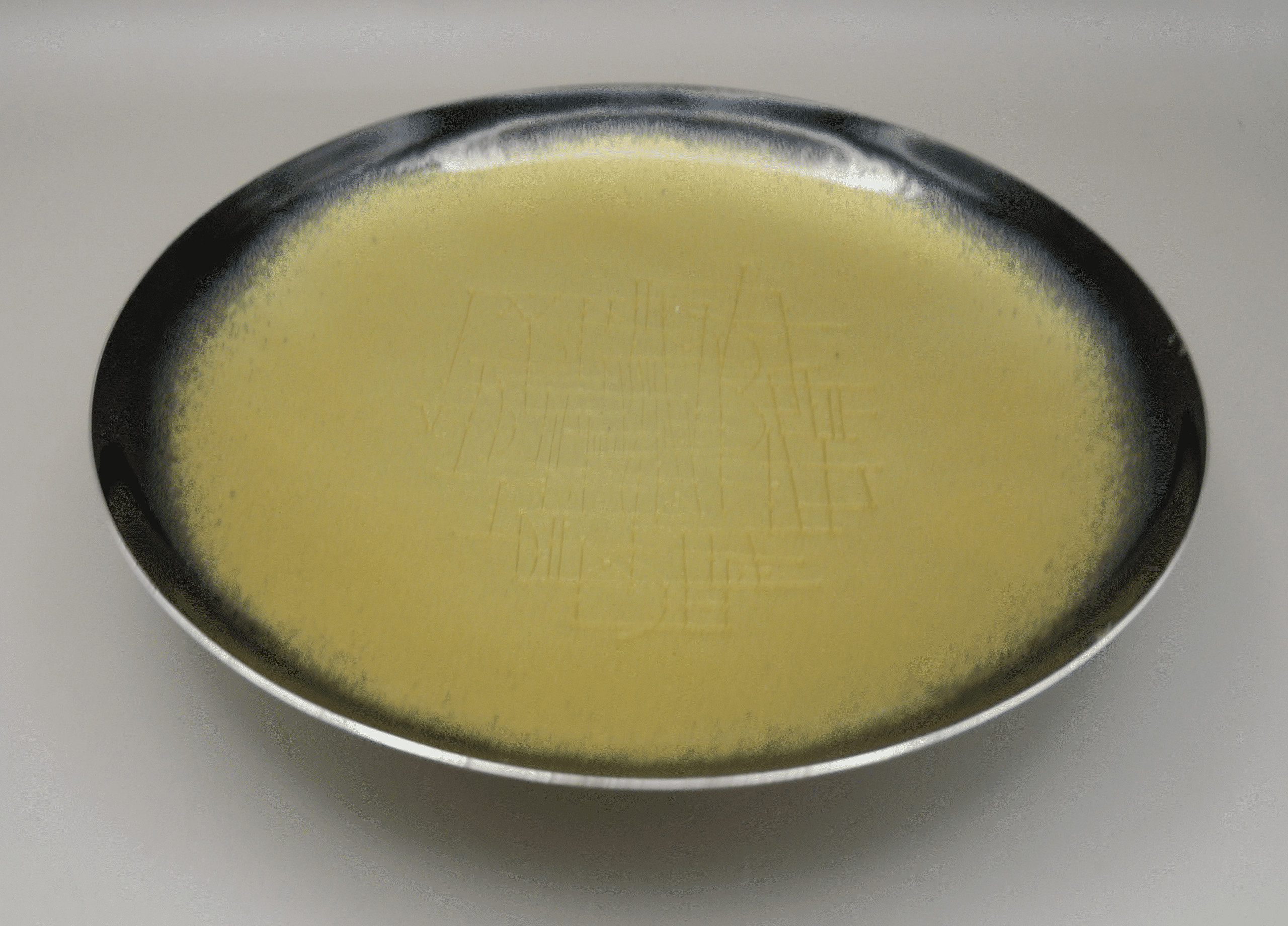 Silver & Enamel Plate by Earl Pardon